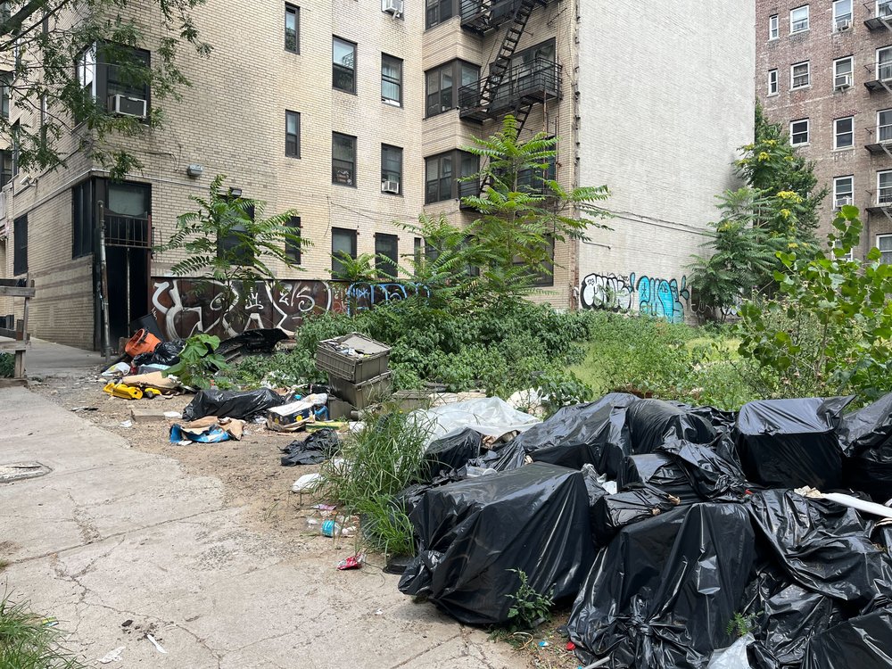 Garbage fills a vacant lot in the Bronx.
