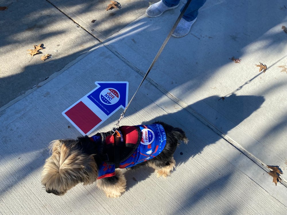 A dog wears an "I Voted" sticker near a poll site on Staten Island.