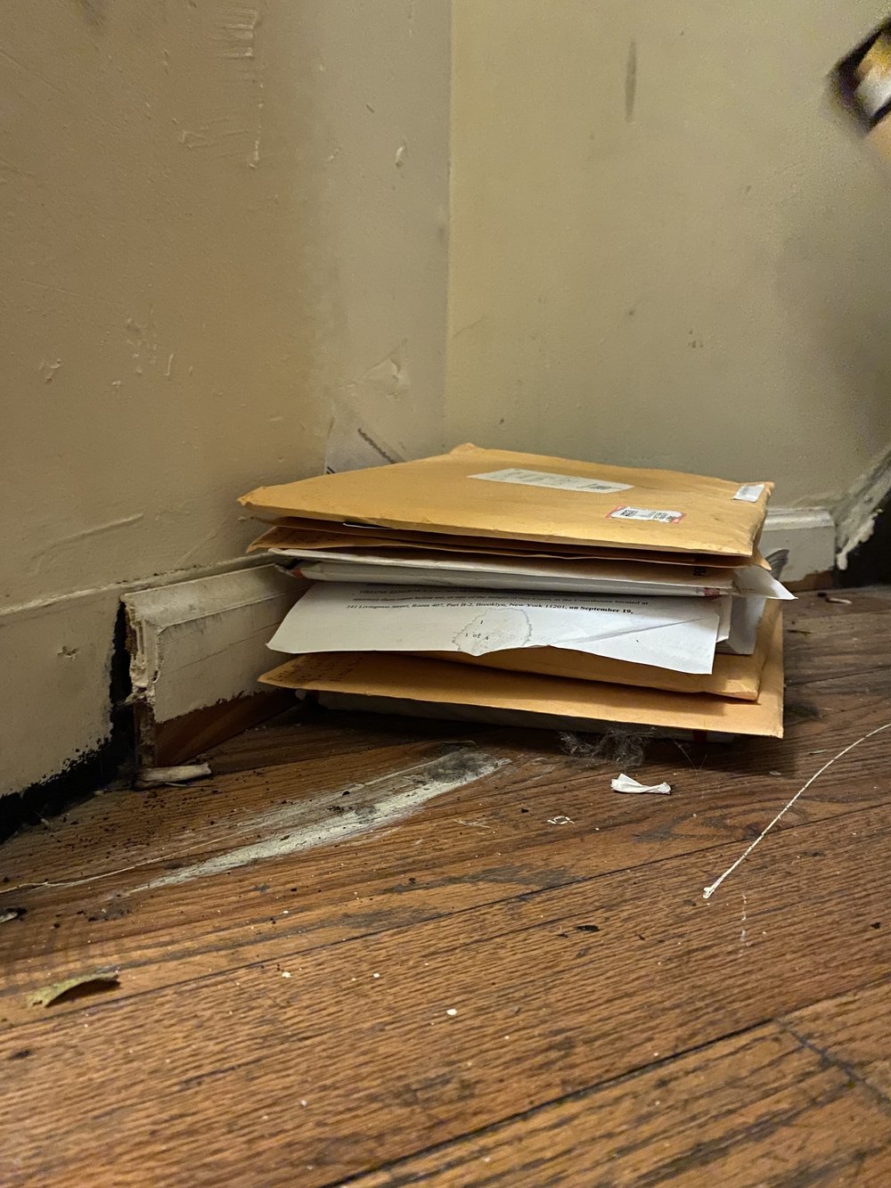 A stack of court summonses and other documents meant for Stark sit unopened gathering dust in the building's hallway.