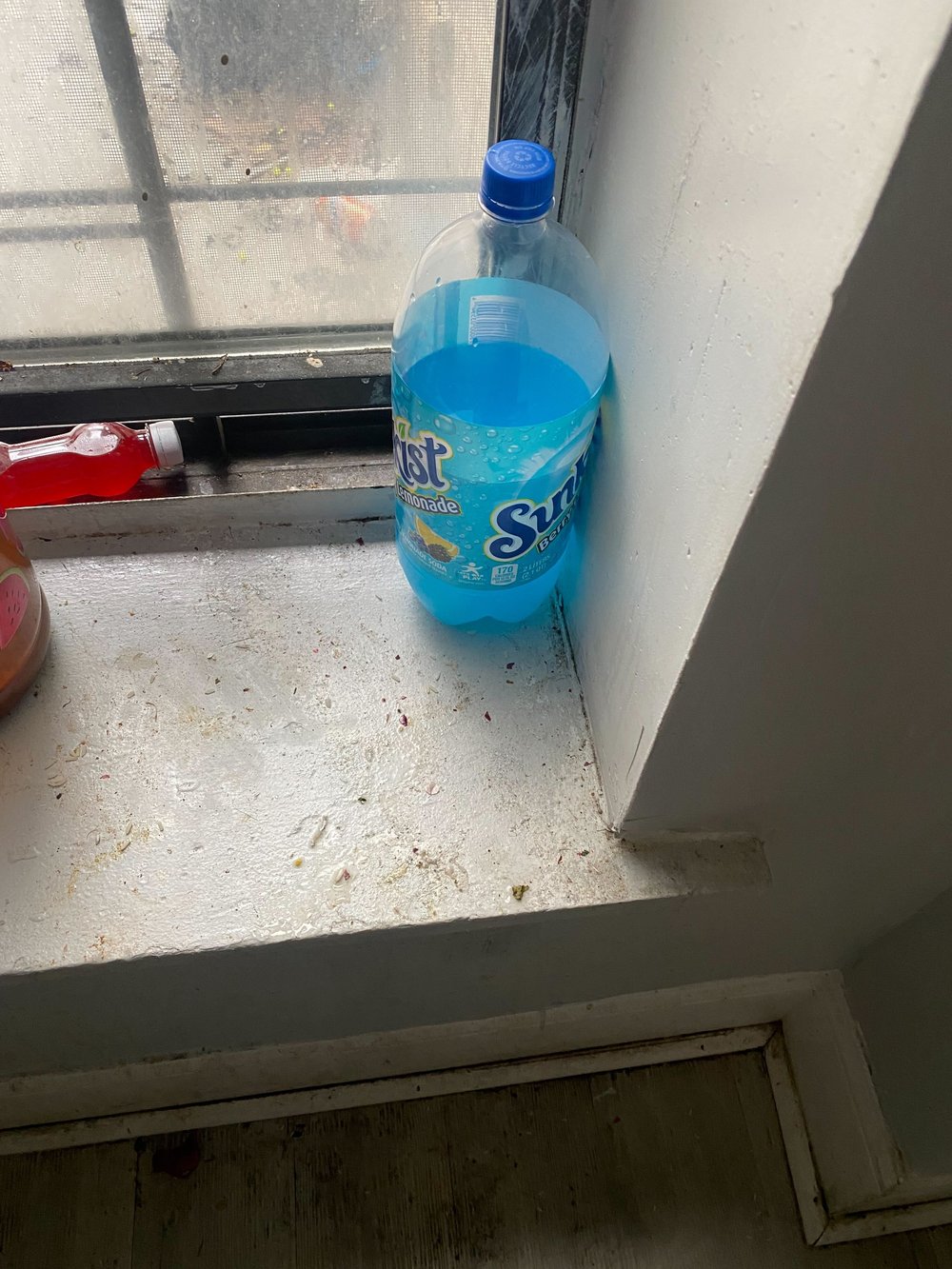 Deteriorating paint on a windowsill in Ingrid Rivas' apartment in Mott Haven where city inspectors found lead paint..