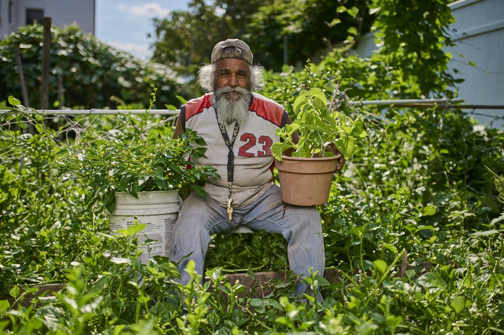 A gardener sits among a mass of green flora. The gardener has a long, grey goatee.