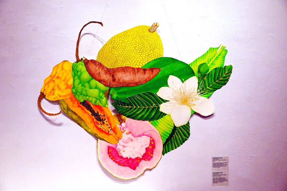 An image of brightly colored flowers