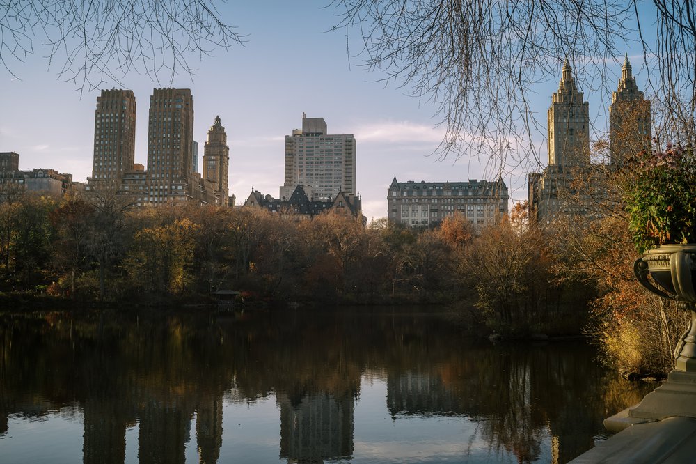 Central Park Lake, 2020