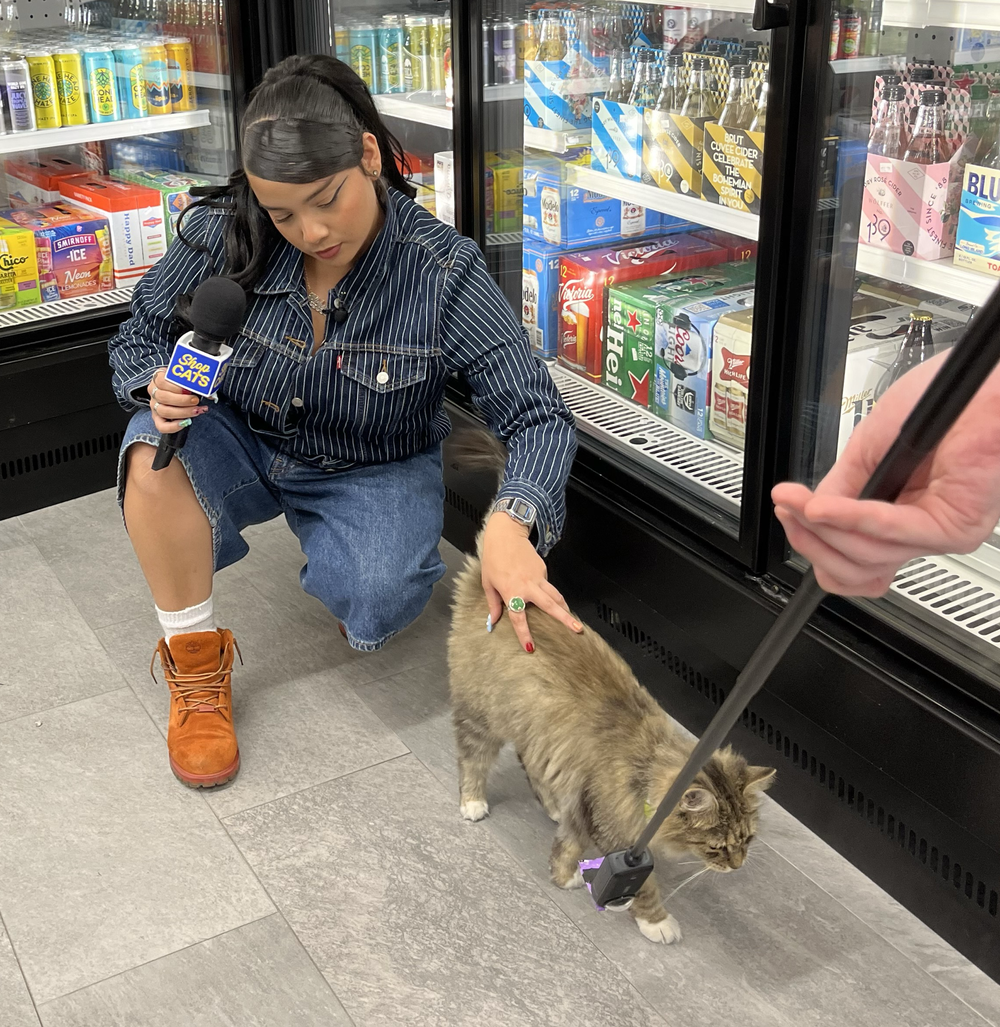 A woman in a bodega interviews a cat.