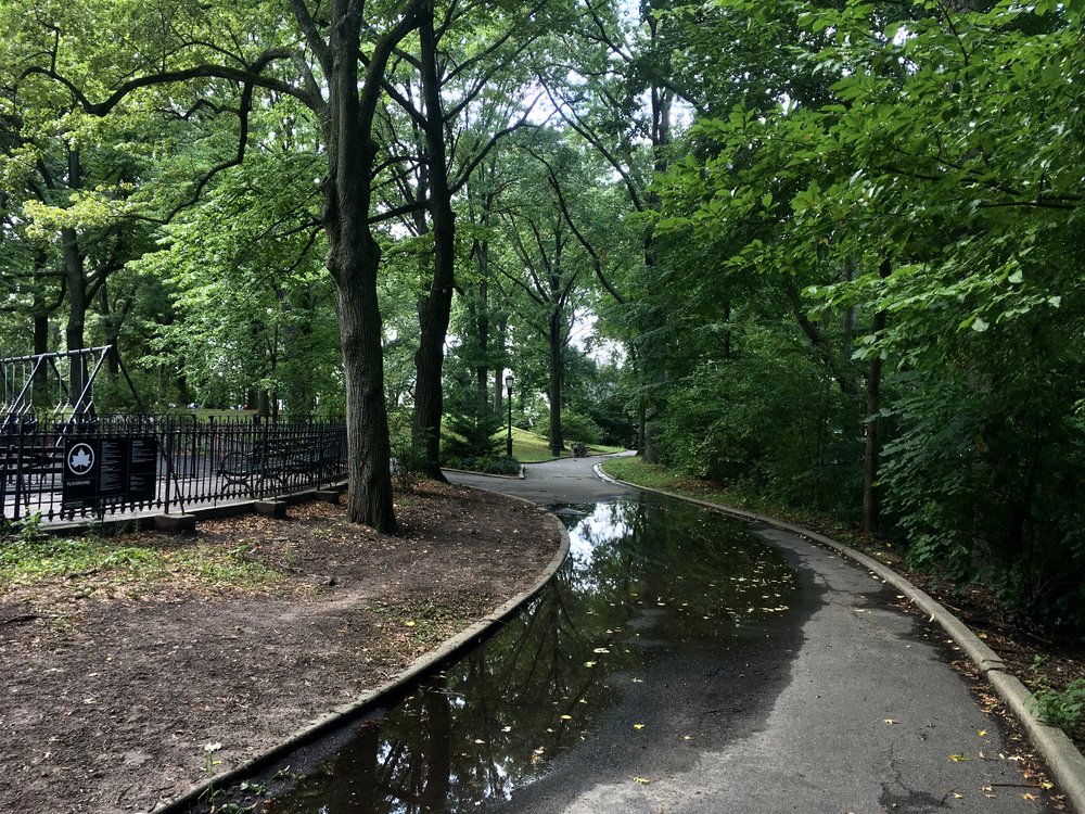 A Brooklyn park in the summer.