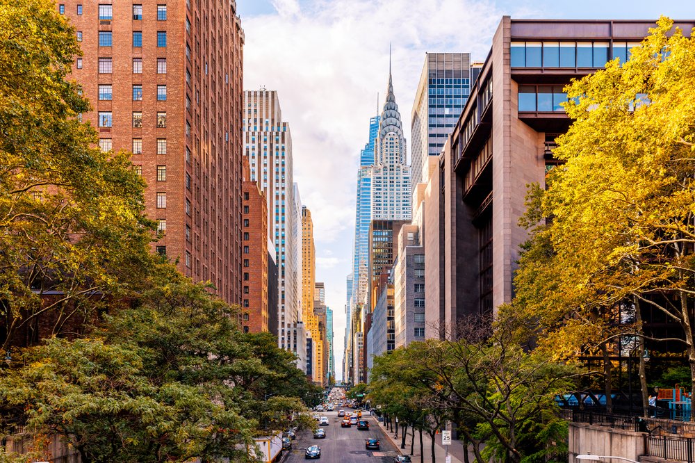 The Chrysler building framed by trees
