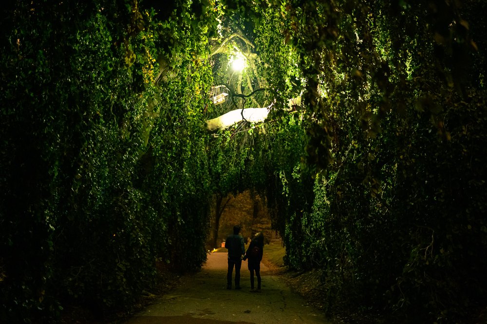 Nightfall-TodSeelie-6.jpg Greenwood Cemetery during Nightfall event