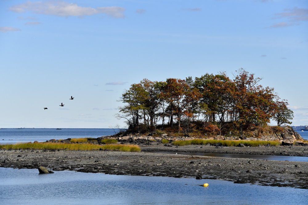 A patch of grass and trees juts into the bay.