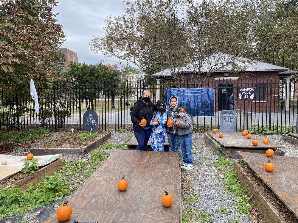 Four people pose with pumpkins in a garden