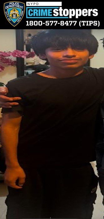 Joshua Leon, 14, of Concourse