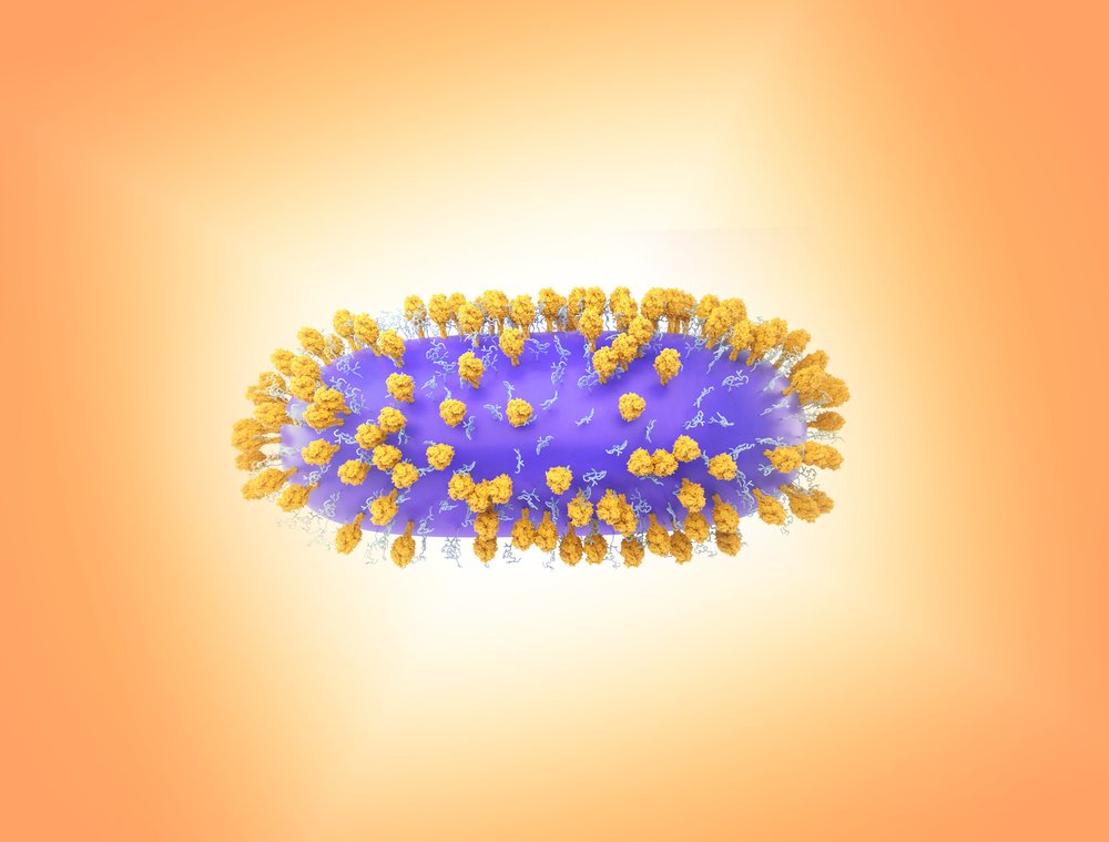 3D rendering of respiratory syncytial virus (RSV)—a common contagious virus that infects the human respiratory tract.