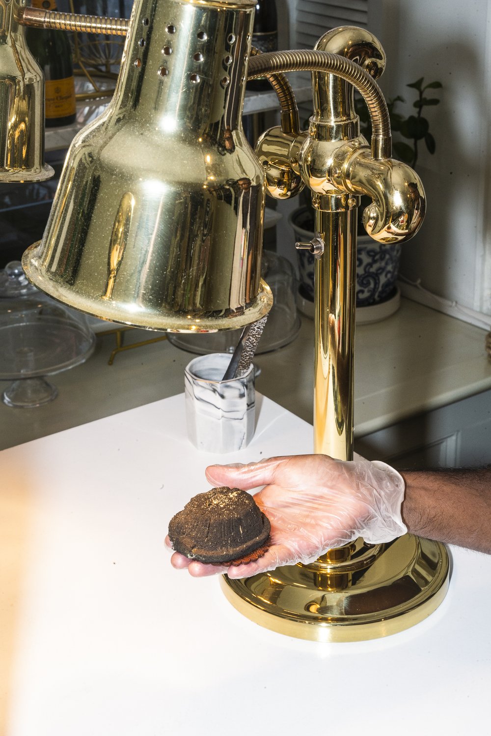 A plastic-gloved hand holds a small, dark brown cake, topped with gold dust.