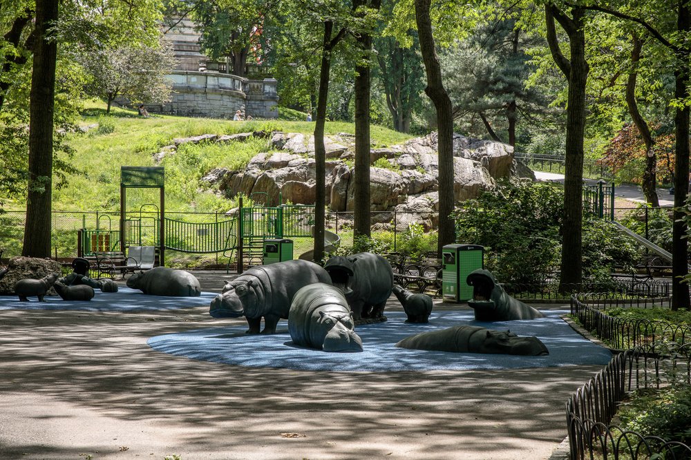 Hippo Playground