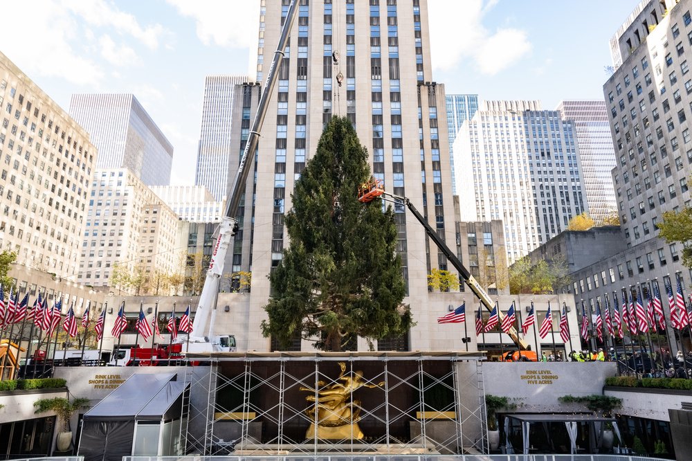 The Rockefeller Christmas tree in front of a tall white building.