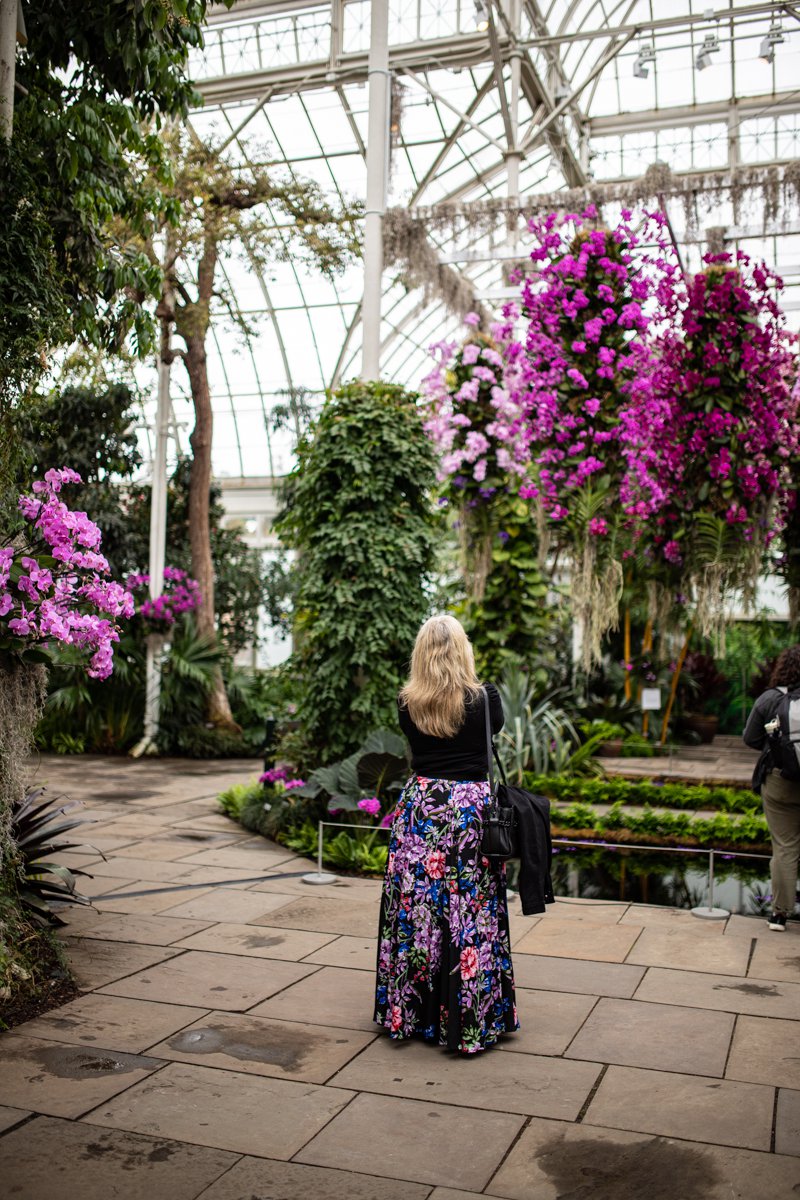 A photograph of a woman looking at flowers