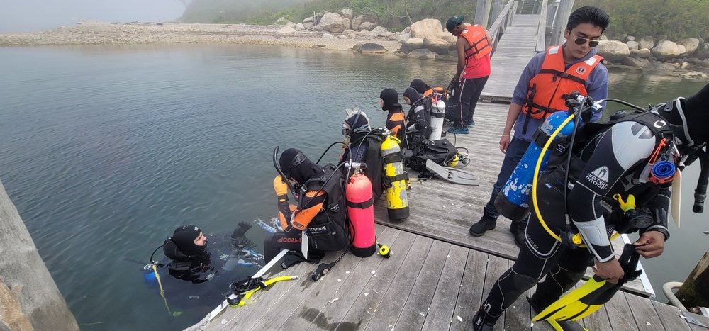 Scuba diving is one of the seven programs offered at Harbor School. Students graduate from this track with a license to work professionally.