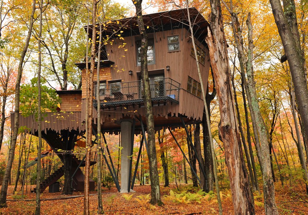 A treehouse surrounded by trees