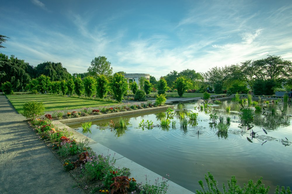 a picture of a garden with a pond