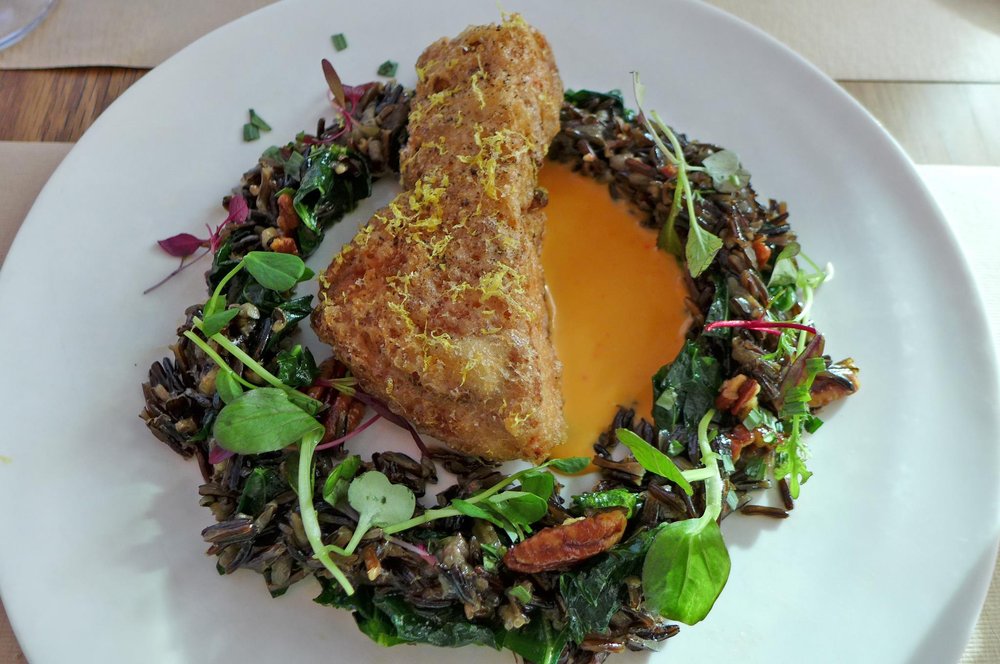 A place of fried food atop a bed of greens.
