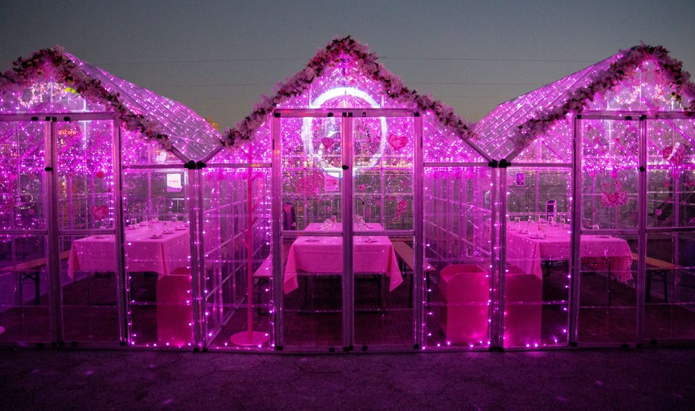 An exterior of private pink igloos