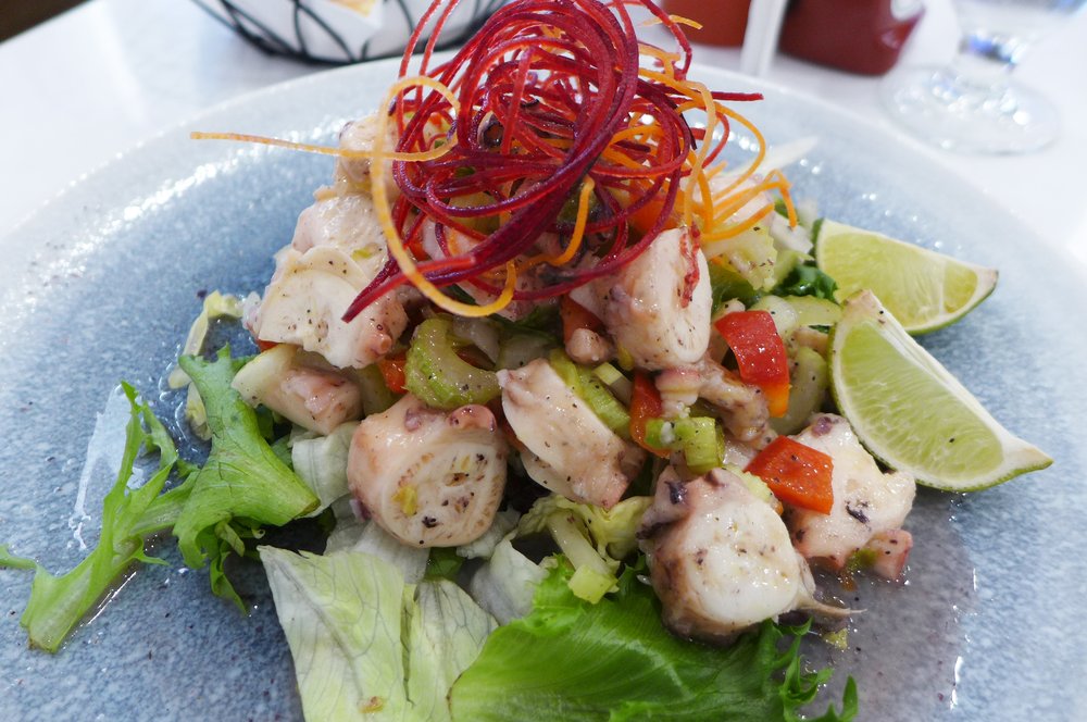 An octopus salad photographed from above and served on greens