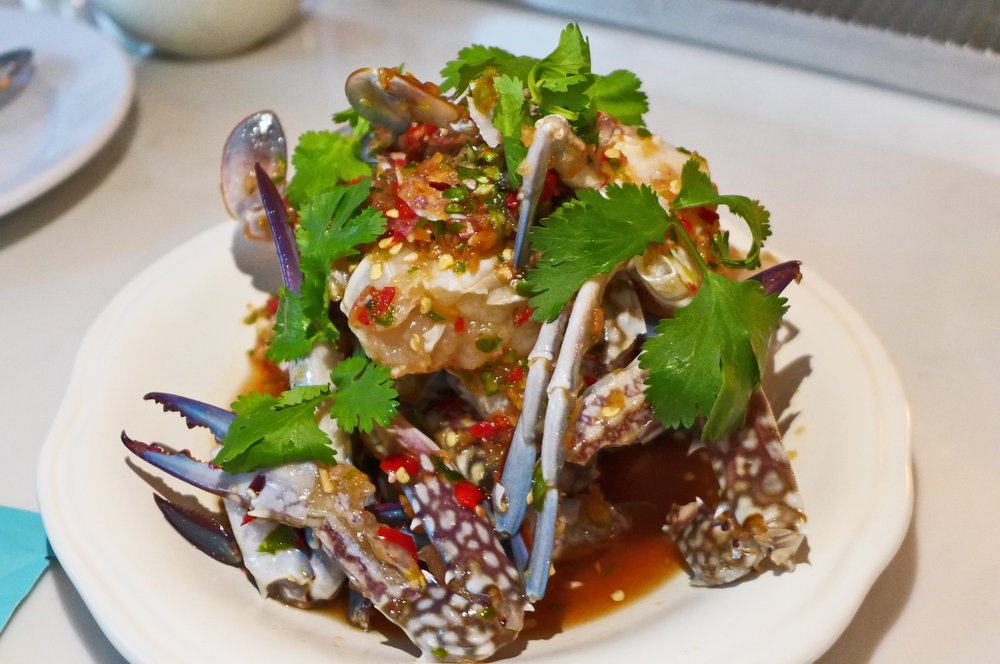 Pieces of fish served over a sauce on a white plate.