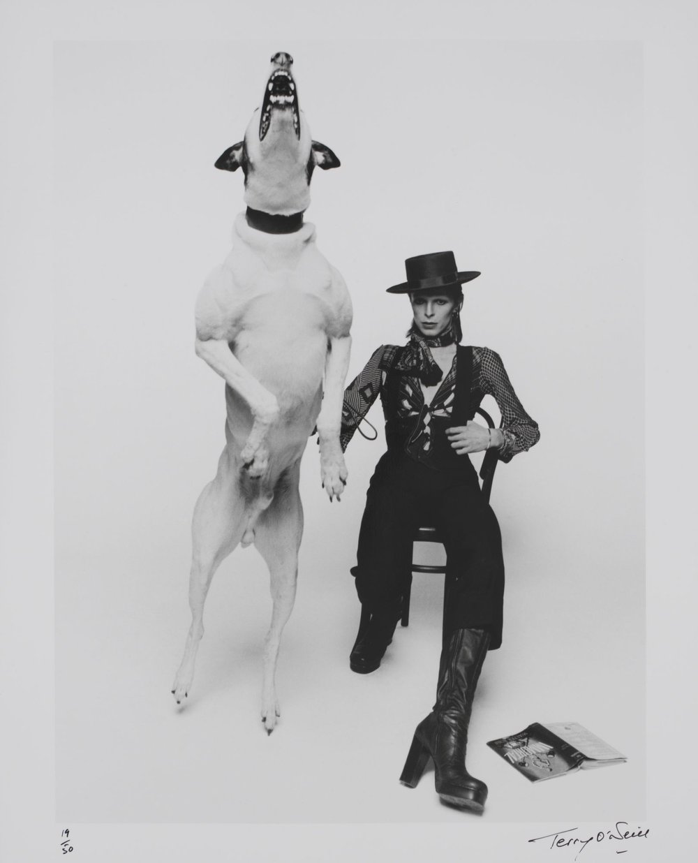 a393ebd08promotional-photograph-of-david-bowie-for-diamond-dogs-1974-jpg.jpeg