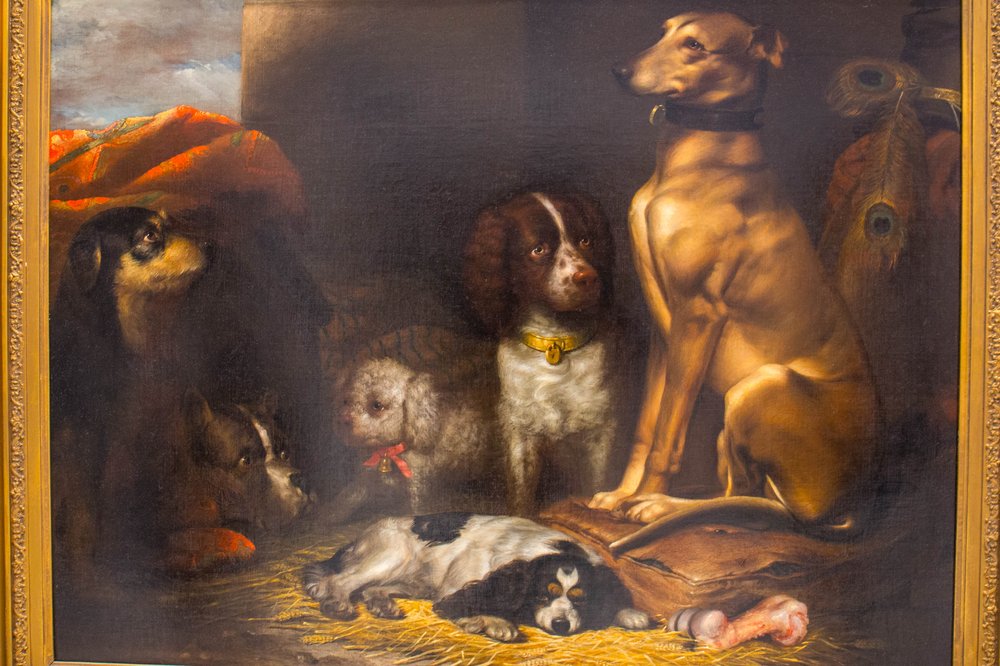 a58661228dog-18-jpg.jpeg