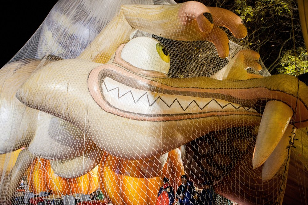 a79178dba.jpeg Scrat from Ice Age<br>