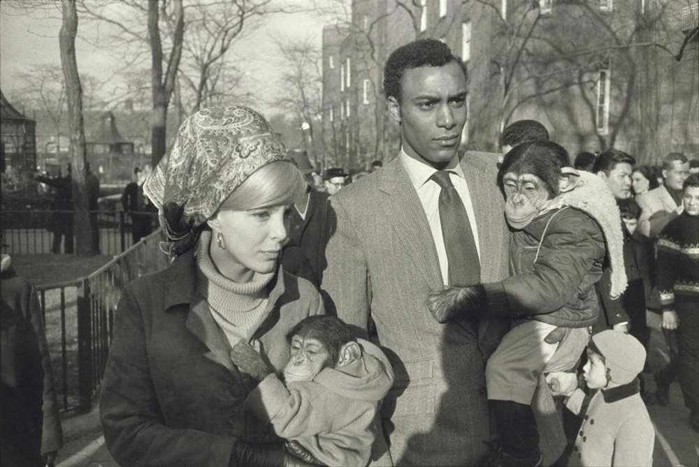 How New Yorkers rolled in 1967. (Taken at Central Park Zoo)