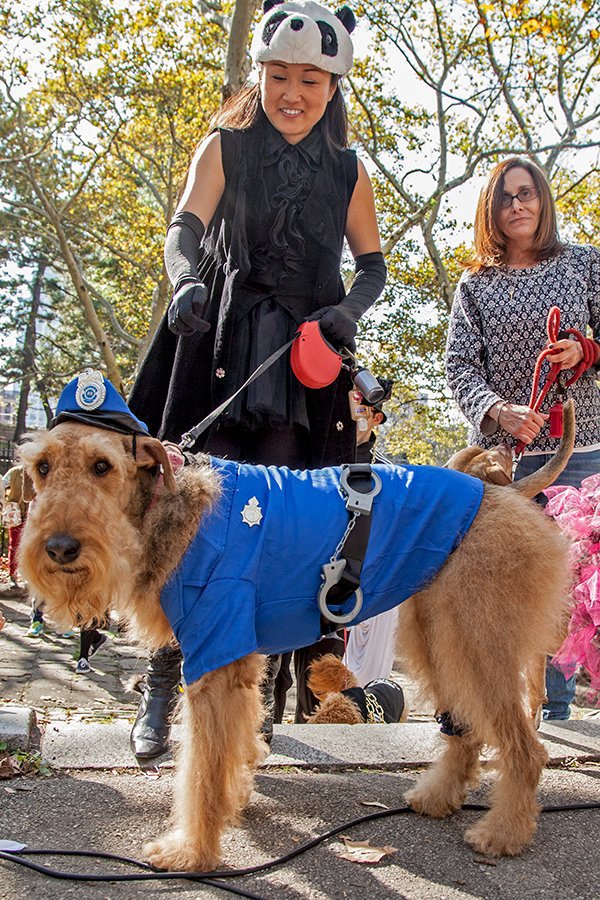 ac112a744.jpeg Police dog<br/>