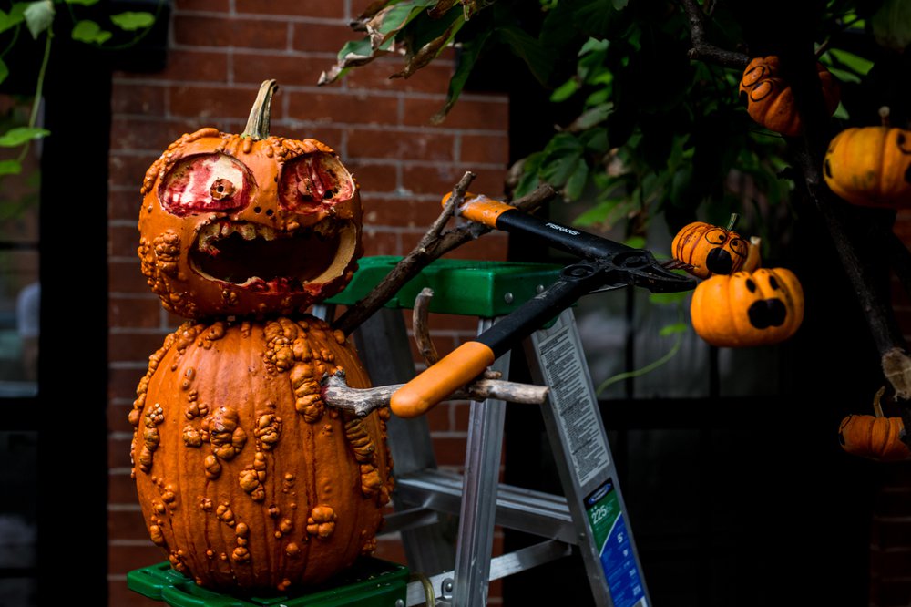 aedf640a3102417pumpkindisplay-jpg.jpeg