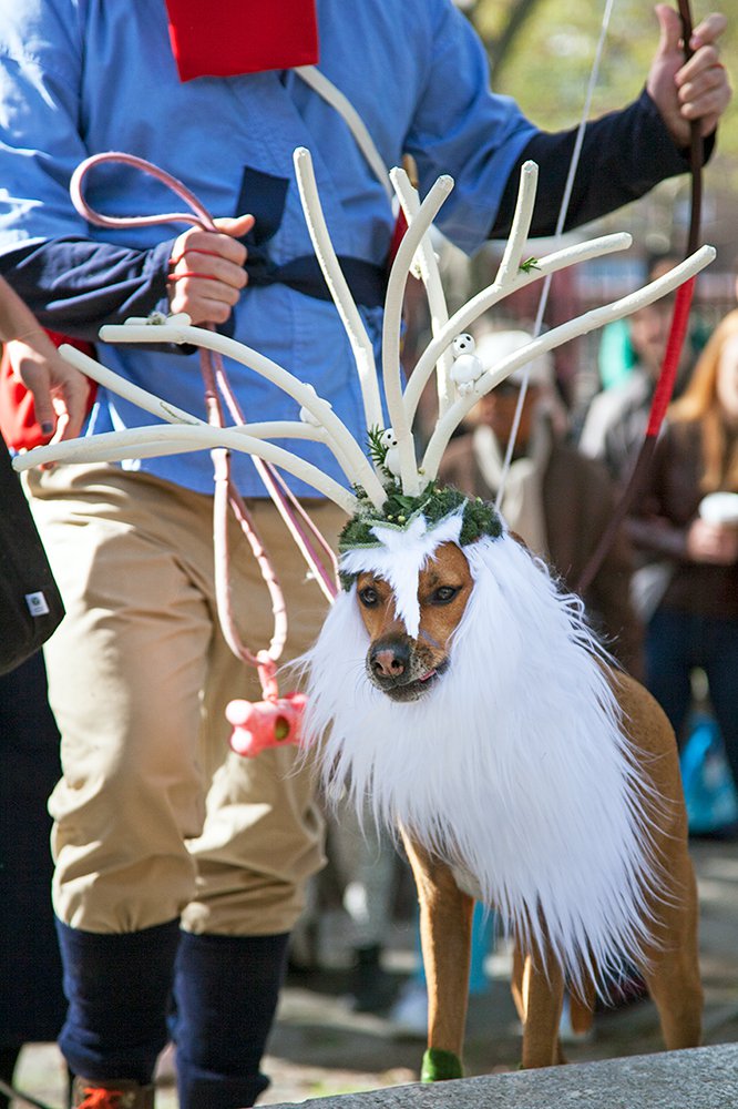 b1e98ff68468806731_mg_5821_princess_mononoke-jpg-jpeg.jpeg