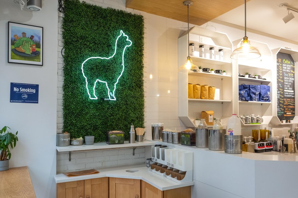 b29b0a4cabibblesip-6-jpg.jpeg Lots of alpacas here!<br/>