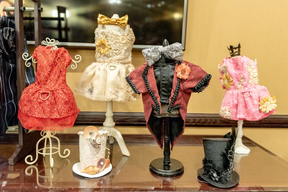 b2ab29f4e_dsc3108-jpg.jpeg You wanted cat fashion<br>