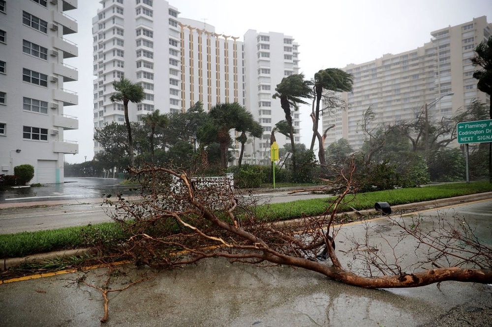 b34592893gettyimages-845297270-jpg.jpeg Fallen trees block North Ocean Boulevard as tropical storm strength winds produced by Hurricane Irma slam into the southern part of the state September 10, 2017 in Fort Lauderdale, Florida. (Getty Images)