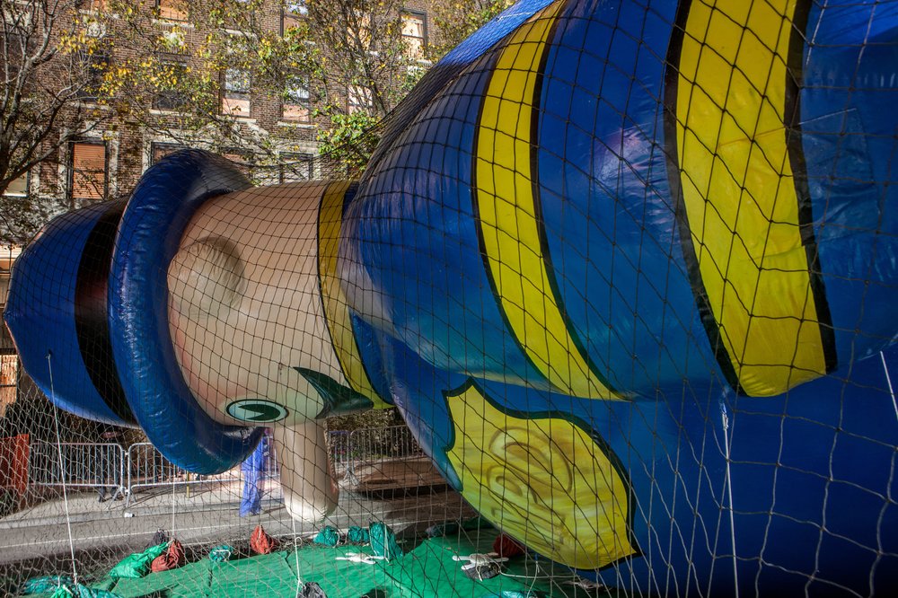 b3b6e1c6d.jpeg One of the balloonicles<br>