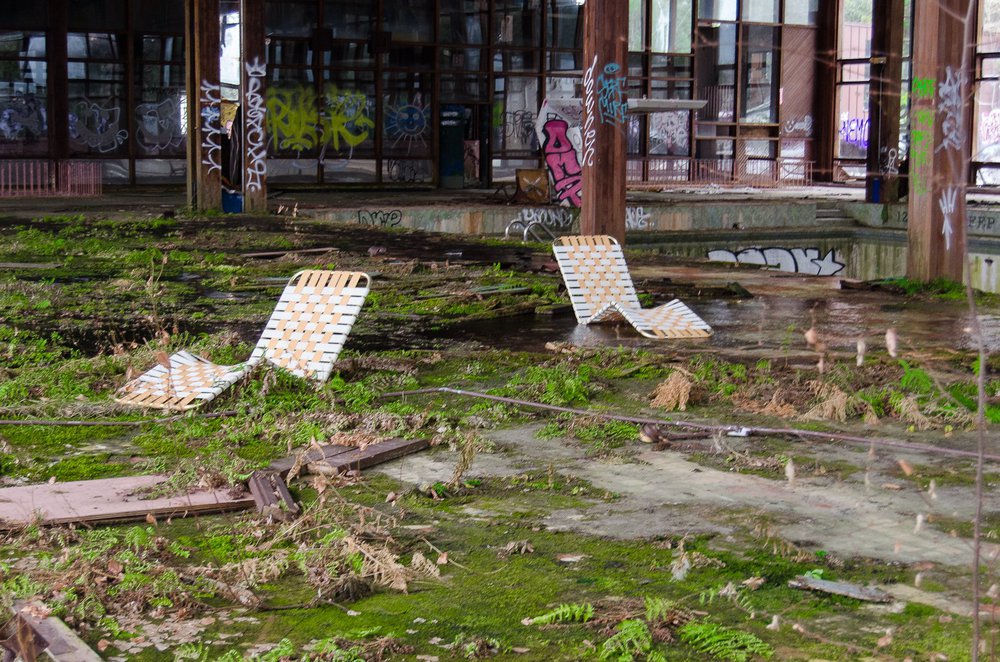 A set of beach chairs on a bed of moss.