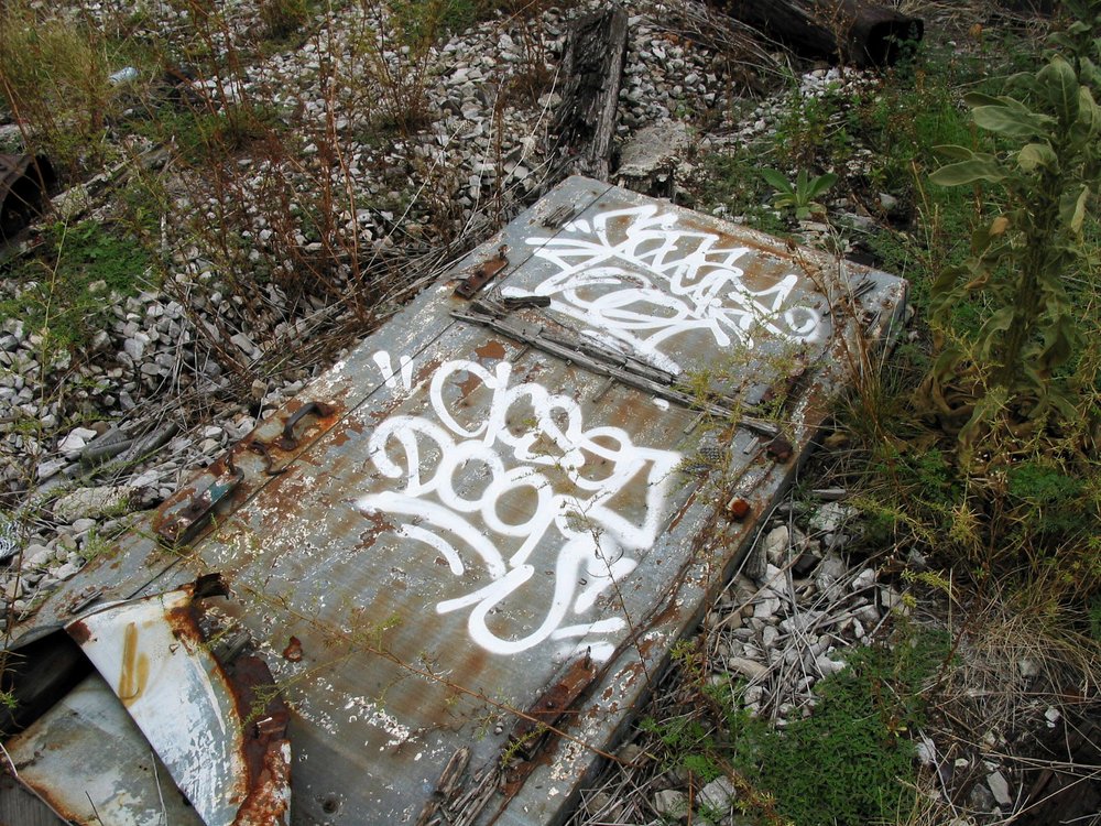 b5c13b16f2002b-jpg.jpeg Spring 2002: tons of industrial debris from the buildings around the High Line littered the abandoned tracks. (Jake Dobkin)