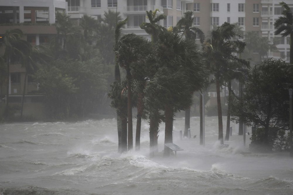 b8009e6ffgettyimages-845297414-jpg.jpeg Water flows out of the Miami River to flood a walkway as Hurricane Irma passes through on September 10, 2017 in Miami, Florida (Getty Images)