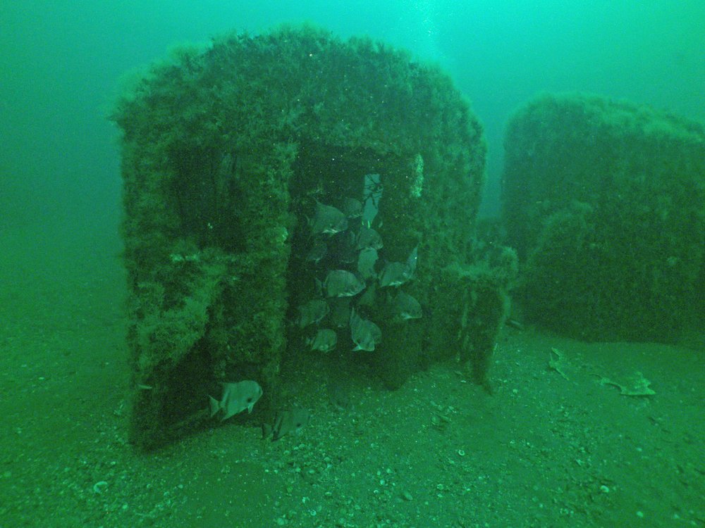 Redbird Reef, Photo by Robert Martore, Courtesy of South Carolina Department of Natural Resources<br/>