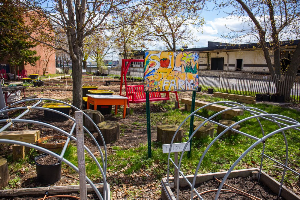bbde5e95dgovernors-43-jpg.jpeg The urban garden, open on weekends<br/>