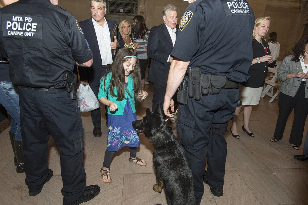 Even though these dogs are on the job, they are also crowd-pleasingly cute.