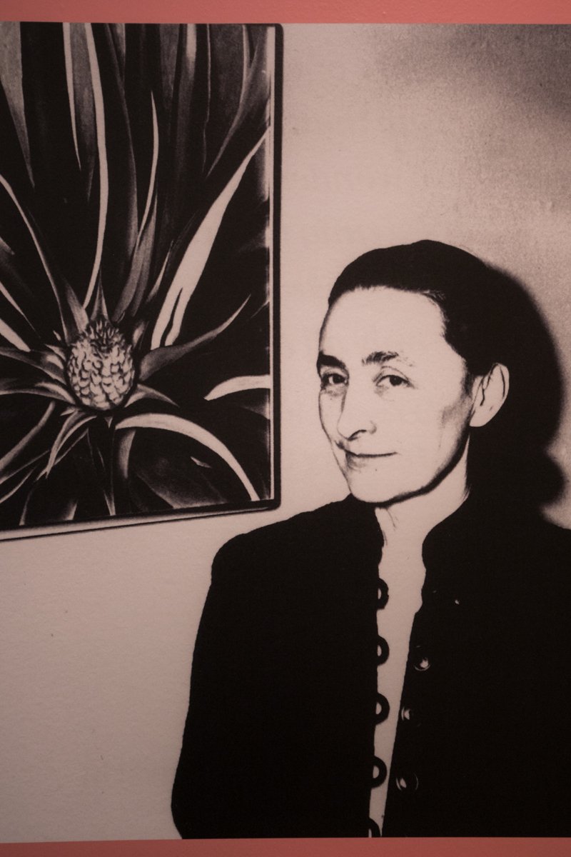 be9d0e0d820180515-img_0038-jpg.jpeg A portrait of O'Keeffe<br>