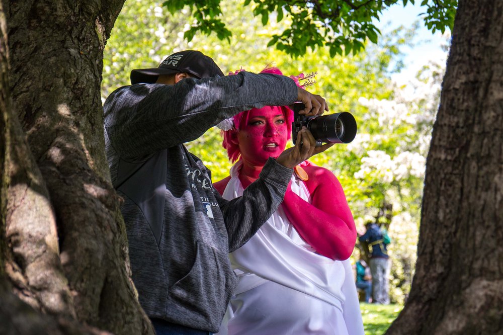 bfe7f1c71sakura-4-jpg.jpeg