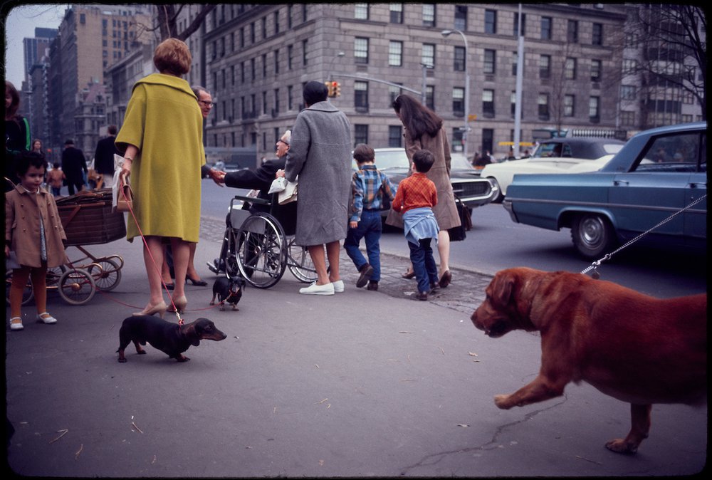 c6c1ad75funtitled-new-york-1967-jpg.jpeg Garry Winogrand (American, 1928-1984). Untitled (New York), 1967. 35mm color slide. Collection of the Center for Creative Photography, The University ofArizona. The Estate of Garry Winogrand, courtesy Fraenkel Gallery, San Francisco<br/>