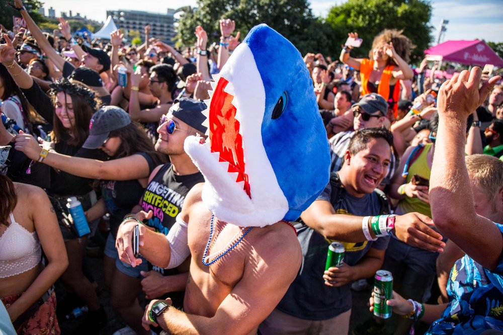 c899d1f91ezoo-71-jpg.jpeg