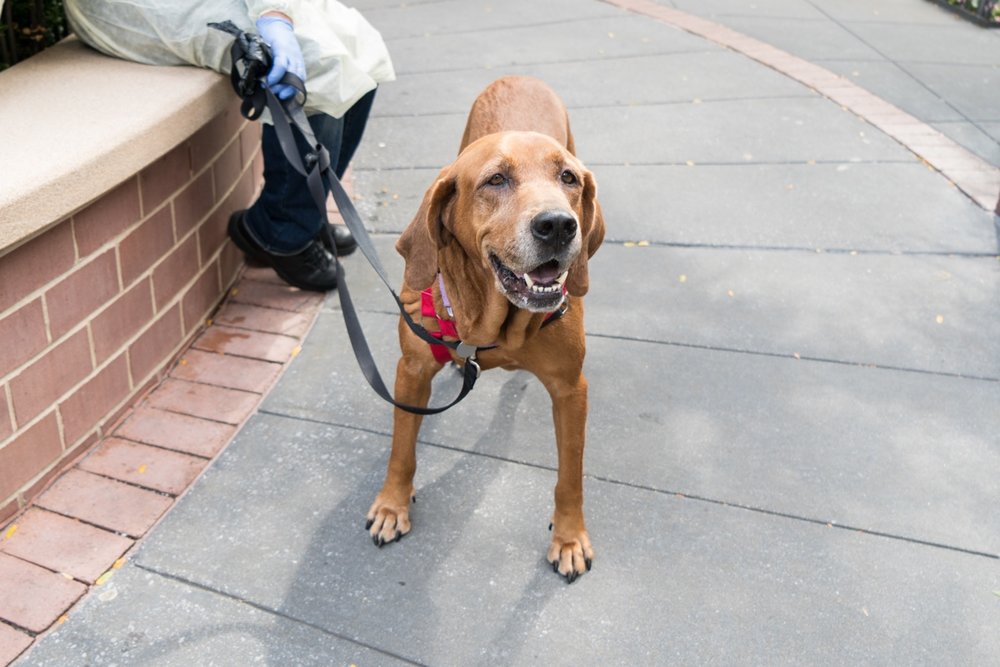 c8b473b96gumpy2-jpg.jpeg He has an amazing smile<br>