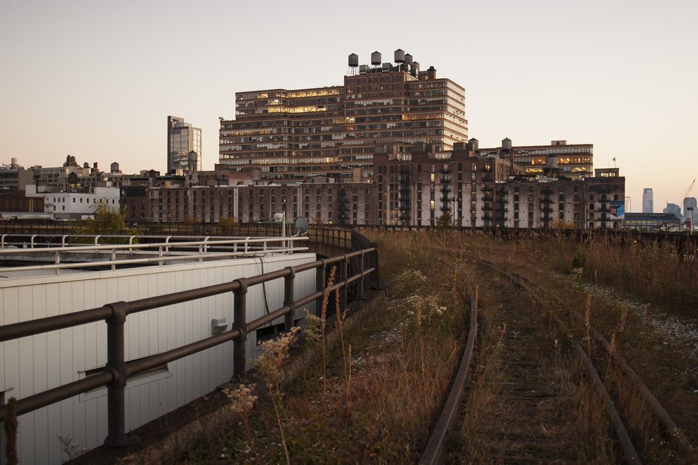 c8e1349be2007_octa-jpg.jpeg October 2007: but up at the northern end, the High Line continued to look the same as it had since it was abandoned in 1980. This part of the park wouldn't open again until 2014. (Jake Dobkin)