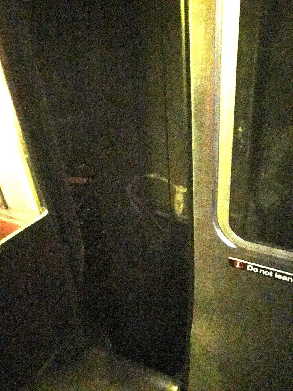 c91d94a95atrain6-jpg.jpeg (Skip Suva / Gothamist)
